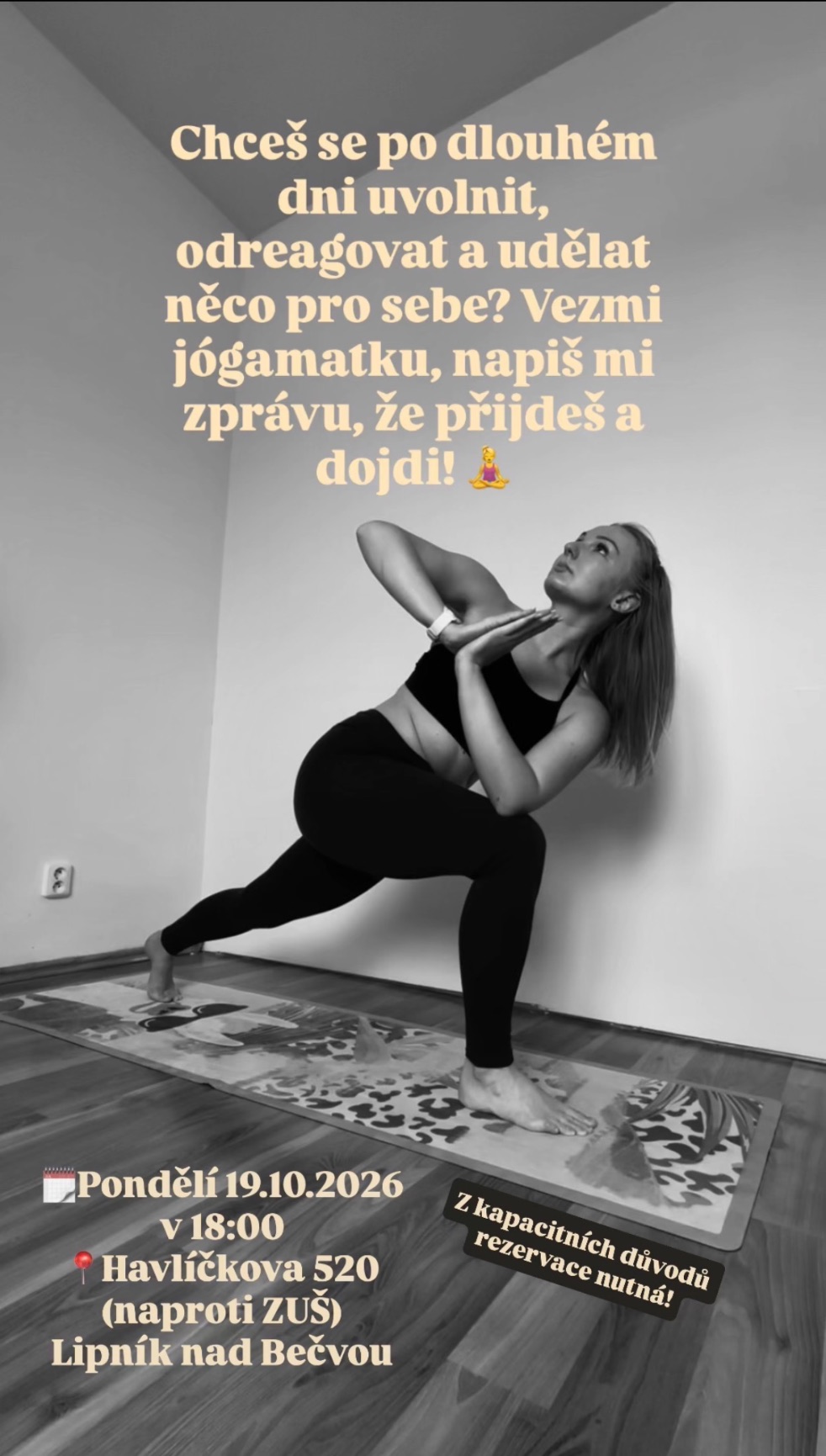 Plakát