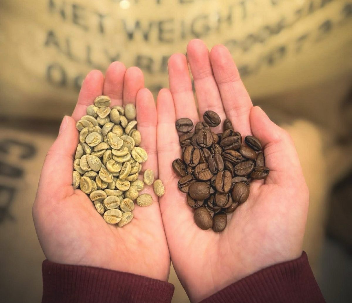 Pulse Coffee Roastery